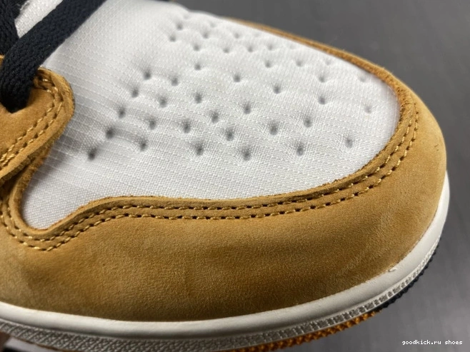 High Gore-Tex Light 1 Jordan Element Curry DB2889-700 0629